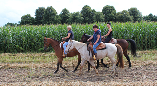 Reiterferien in Oberlangen