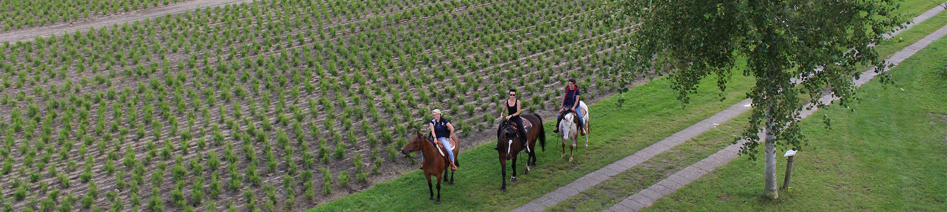 Reiturlaub Oberlangen